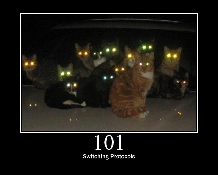 Switching Protocols