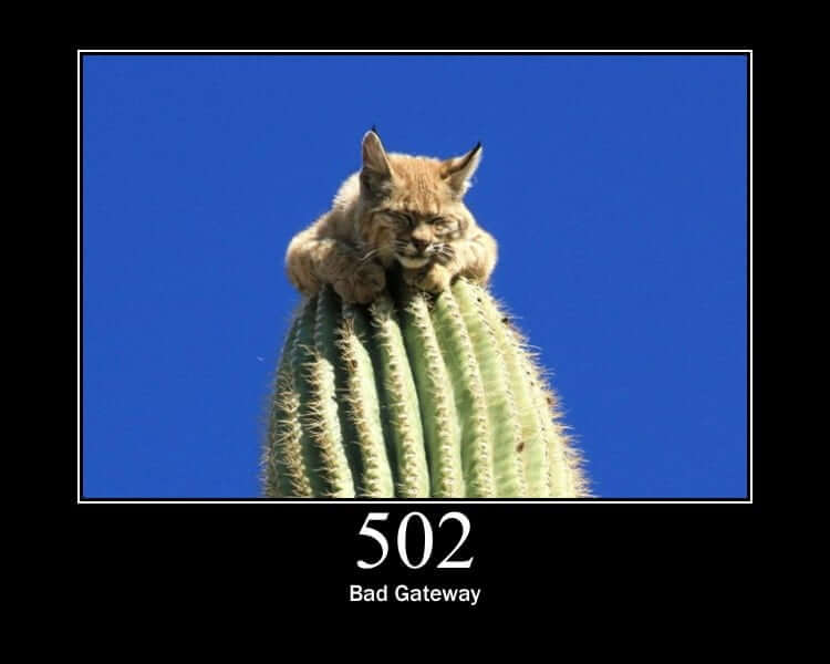 Bad Gateway